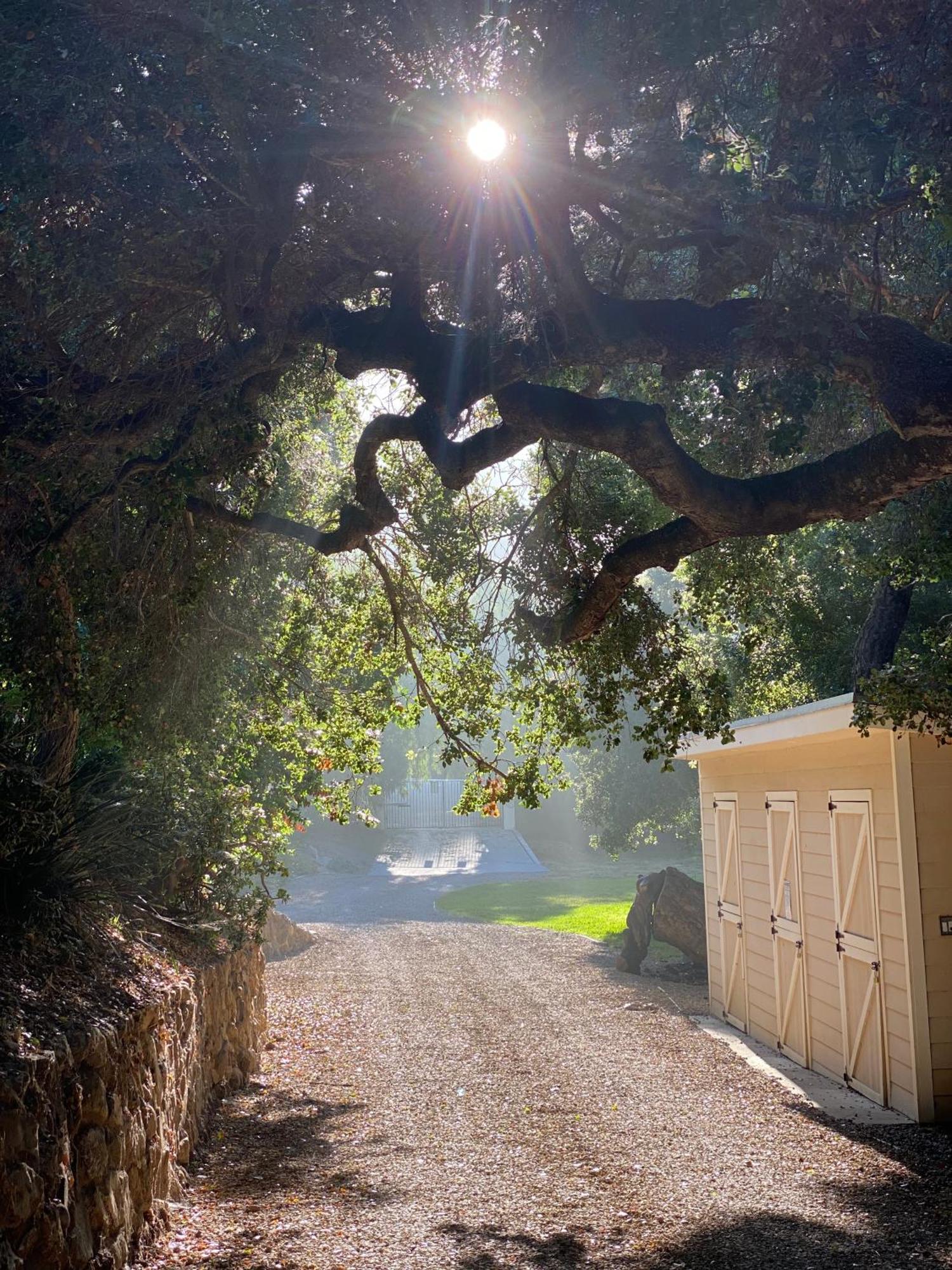 Malibu Ranch Guest House Hideway Екстериор снимка